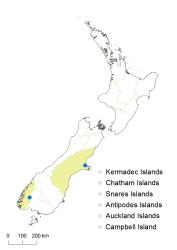 Cotoneaster divaricatus distribution map based on databased records at CHR. 
 Image: K. Boardman © Landcare Research 2017 CC BY 3.0 NZ